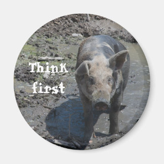 Pig in a Pen Magnet