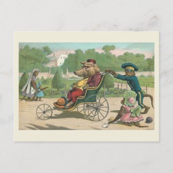"pig In A Wheelchair" Vintage Postcard by PrimeVintage at Zazzle