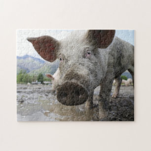 Pig jigsaw puzzle