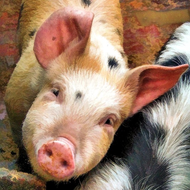 PIG KEYCHAIN (Creator Uploaded)