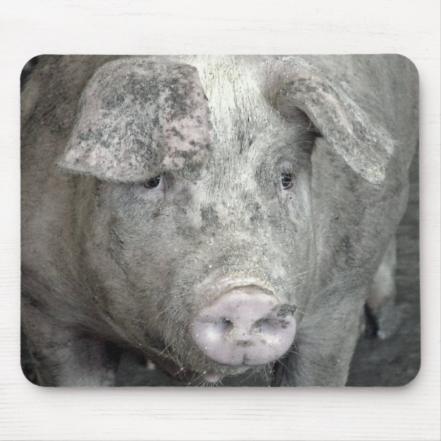 Pig Mouse Pad (Front)