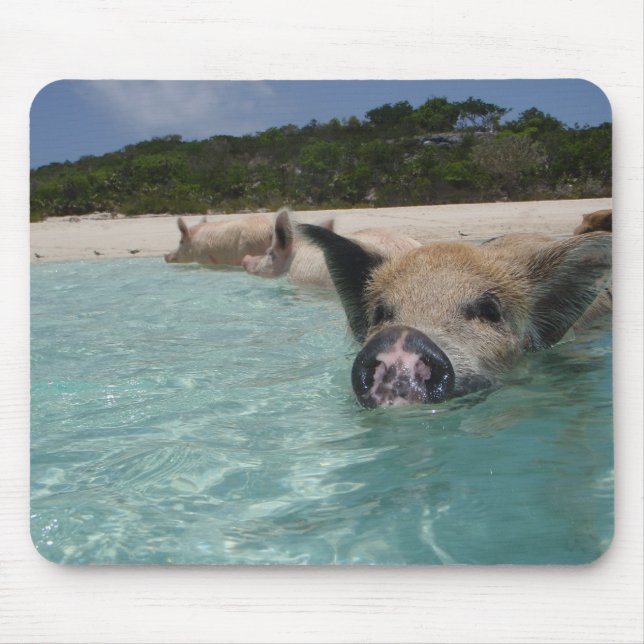 pig mouse pad (Front)