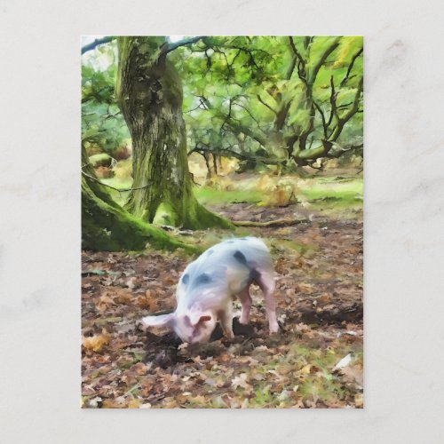 Pig Oil Painting_Style Postcard