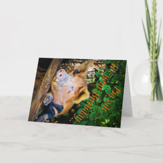Pig out Birthday Card