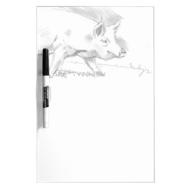 Pig Pencil Drawing Dry-Erase Board (Front)