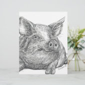 Pig Piglet (Standing Front)
