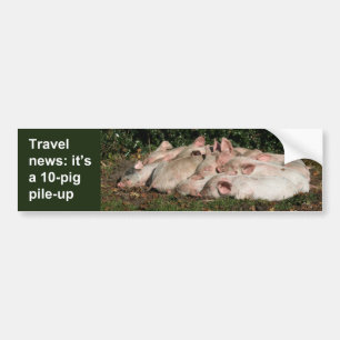 Pig pile-up bumper sticker