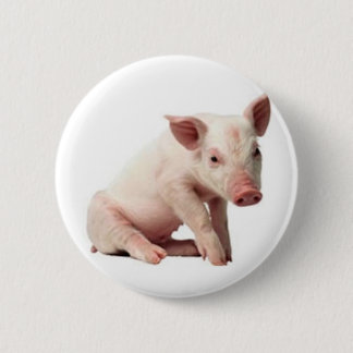 pig pinback button