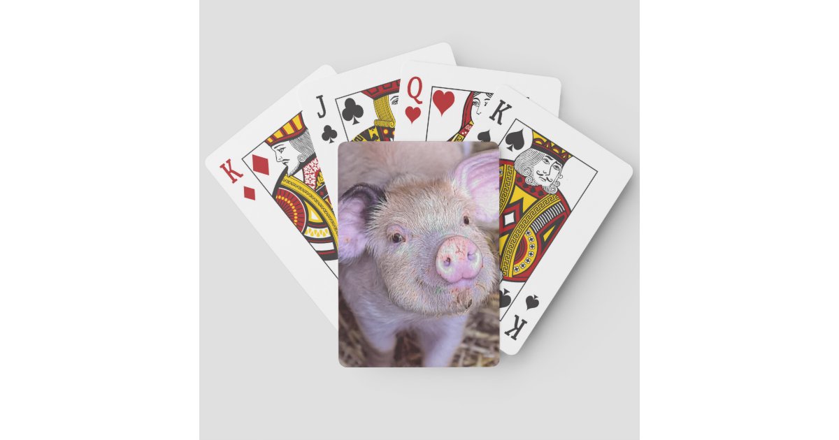 Pig Playing Cards Zazzle