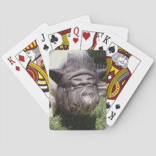 Pig Playing Cards