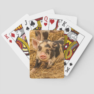 Pig Poker Cards