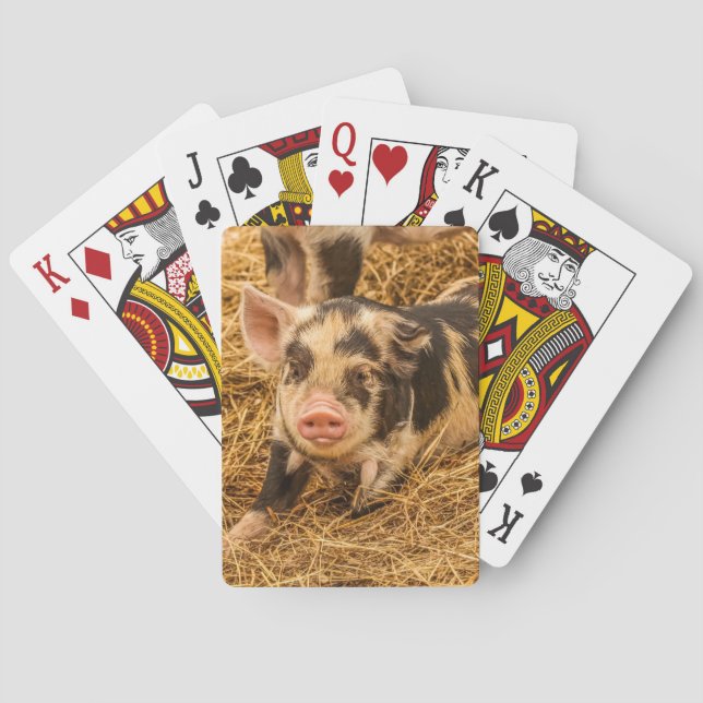 Pig Poker Cards (Back)