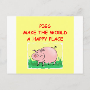 pig postcard