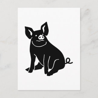 Pig Postcard