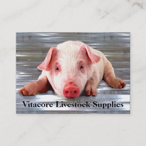 Customizable Pig  Professional Business Card Templates