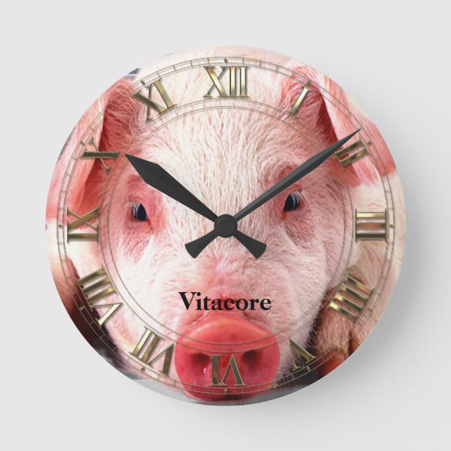 Pig  Professional Round Clock (Front)