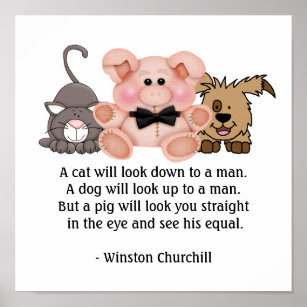 PIG Quote by Winston Churchill Poster