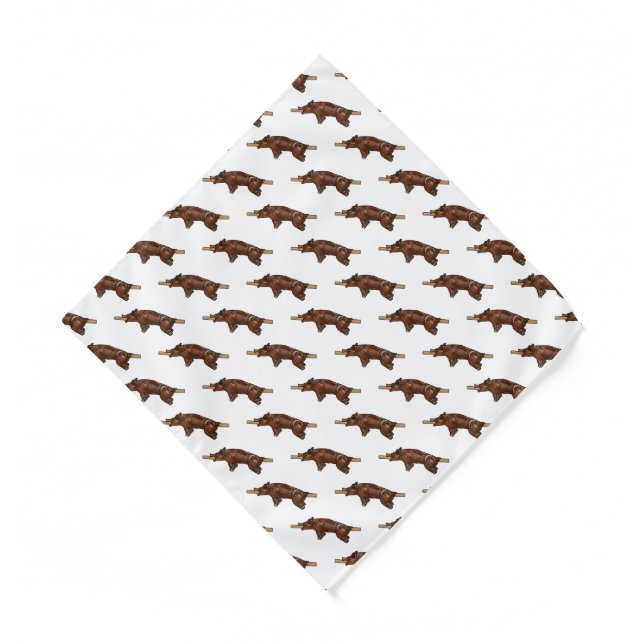 Pig roast / hog roast cartoon illustration bandana (Front)
