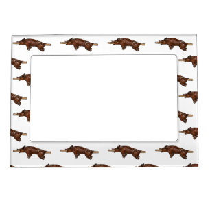 Pig roast / hog roast cartoon illustration magnetic frame