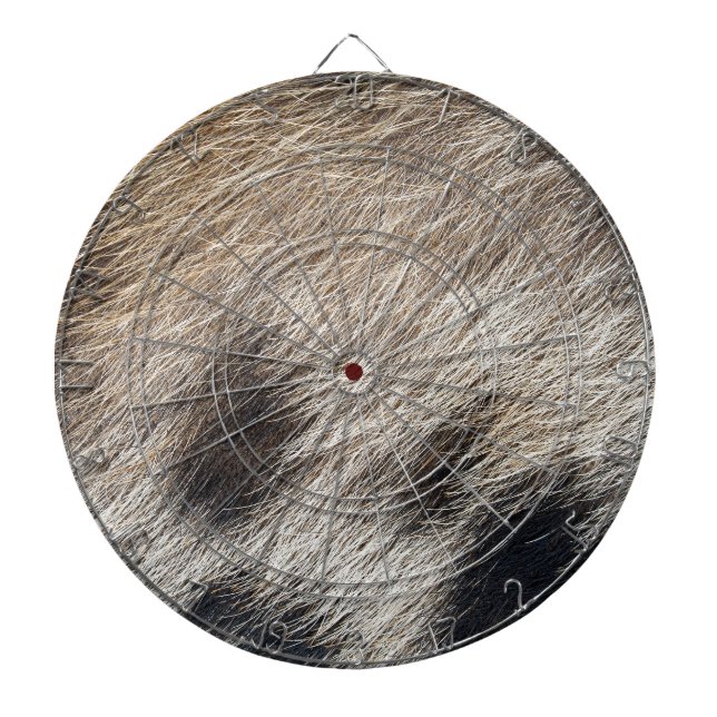 Pig Skin Hair Dartboard (Front)