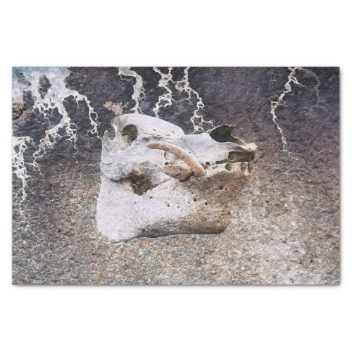 Pig Skull Gray Vintage Farm Texture Decoupage Tissue Paper