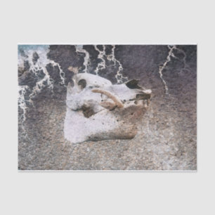 Pig Skull Gray Vintage Farm Texture Decoupage Tissue Paper