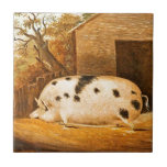 Pig Spotted Hog Vintage Farm Art Painting Tile<br><div class="desc">Gloucester pigs are famous for their adorable spots and can weigh over six hundred pounds. This particular piggy, Old Spot, was said to be one of the largest ever bred in Britain. This customizable design features a full color vintage painting from 1834 by John Miles showing a large pink spotted...</div>