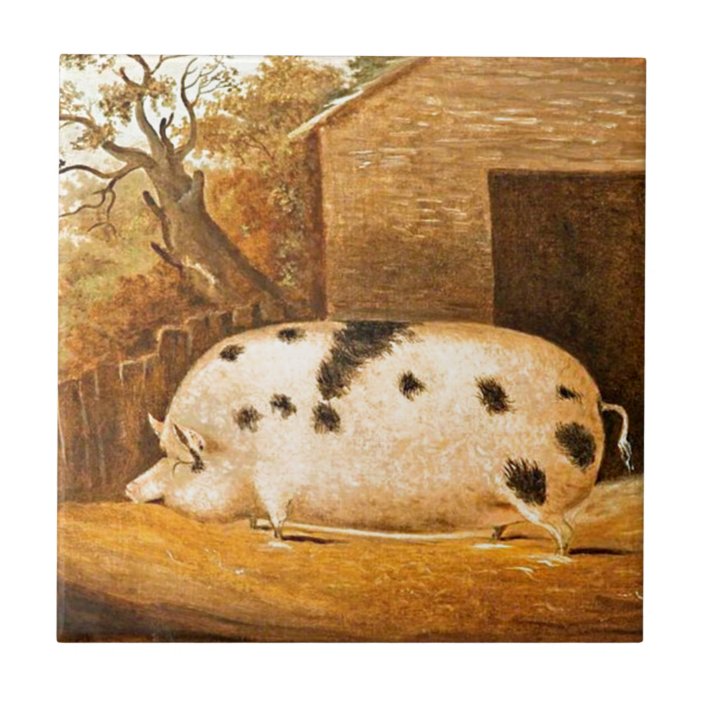 Pig Spotted Hog Vintage Farm Painting Tile Zazzle Com