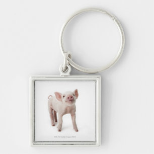 Pig Standing Looking Up Keychain