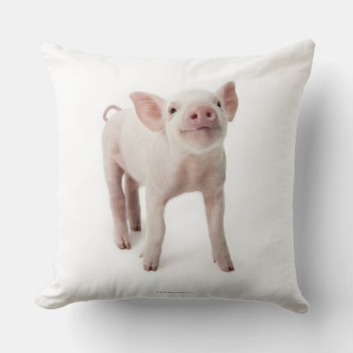 Pig Standing Looking Up Throw Pillow