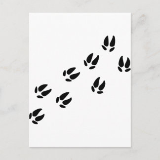 Pig - Tracks Postcard
