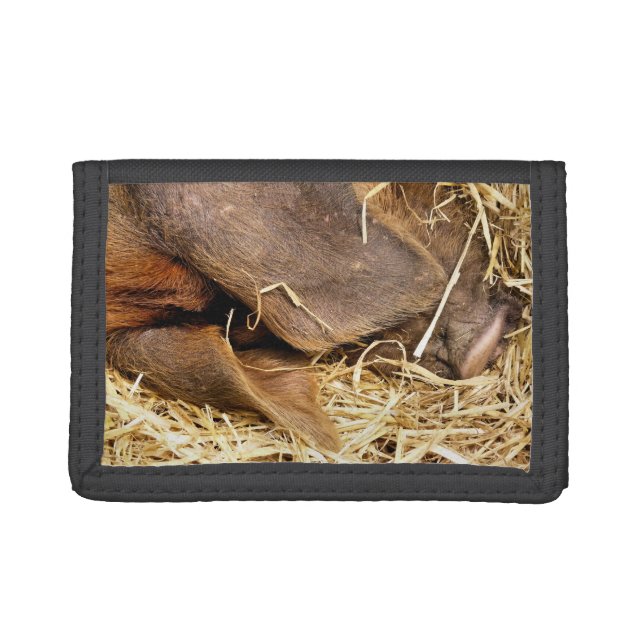 PIG TRI-FOLD WALLET (Front)