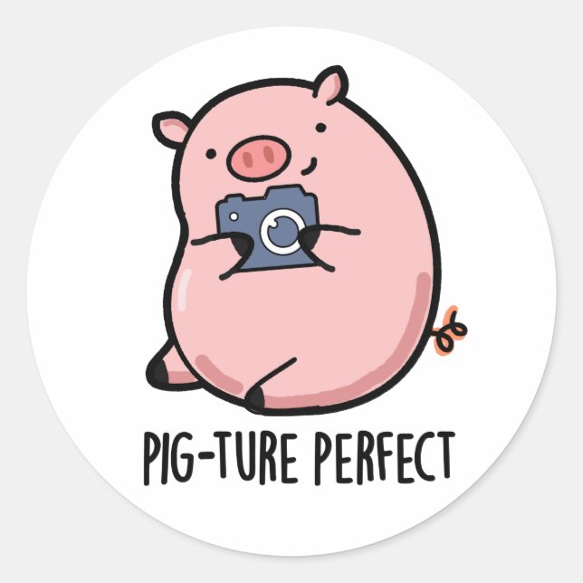Pig-ture Perfect Funny Photography Pig Pun  Classic Round Sticker (Front)