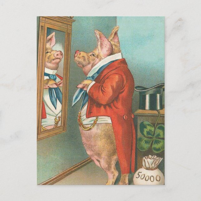 Pig Tying His Cravat Postcard (Front)
