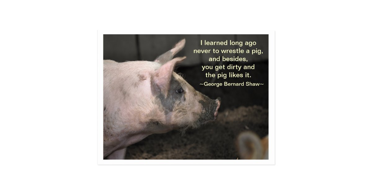 Pig Wisdom - wrestle Postcard | Zazzle.com