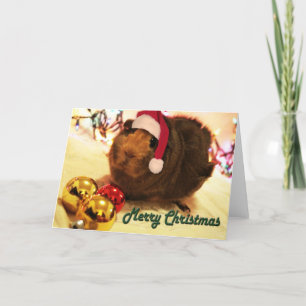 Pig Wishes Holiday Card