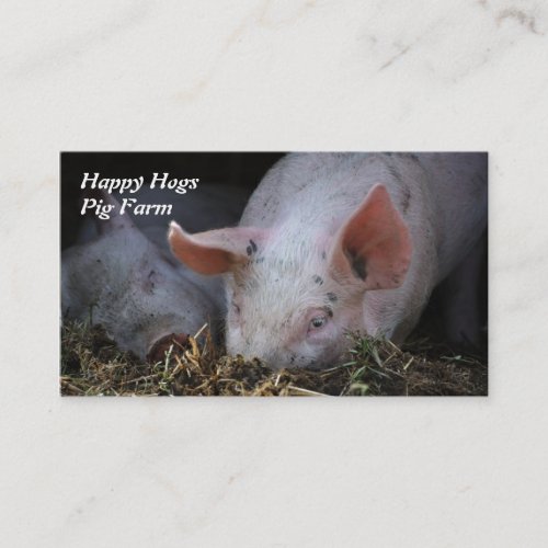 Happy Hogs pig farm business card
