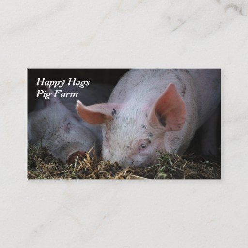 Customizable Happy Hogs pig farm business card