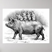 Pig with Piglets Poster
