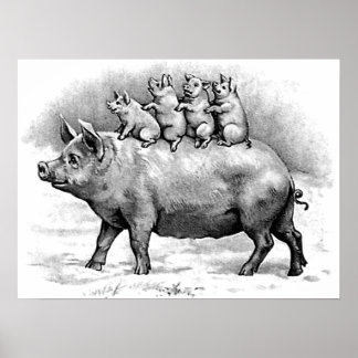 Pig Posters, Pig Prints & Pig Wall Art