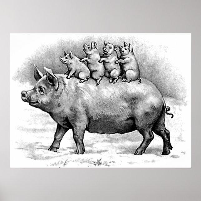 Pig with Piglets Poster (Front)