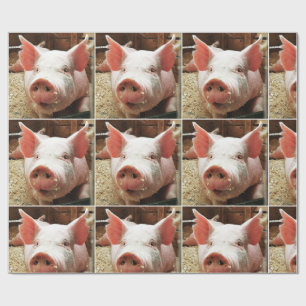 PIG WRAPPING PAPER