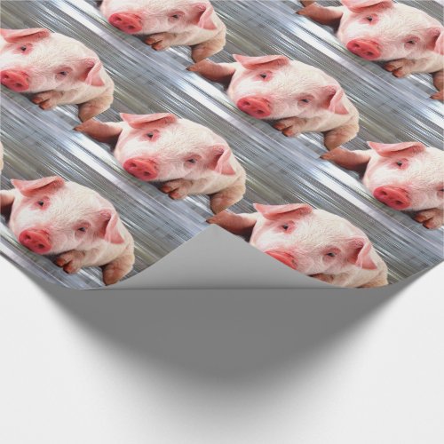 Pig Wrapping Paper