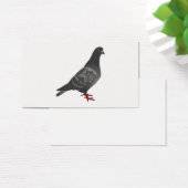 Pigeon (Desk)