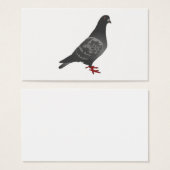 Pigeon (Front & Back)