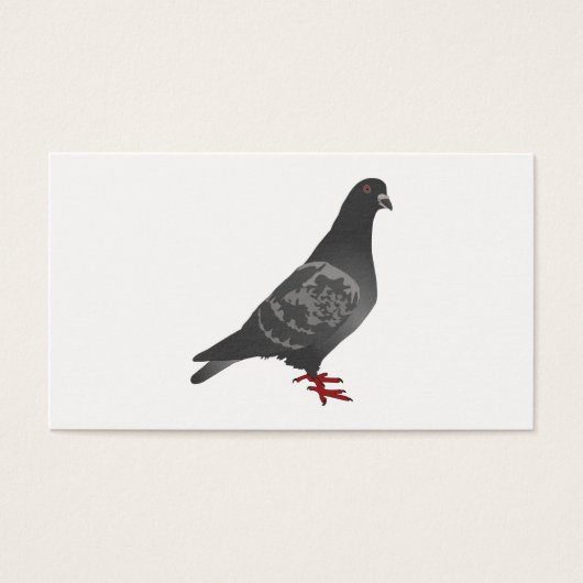 Pigeon (Front)
