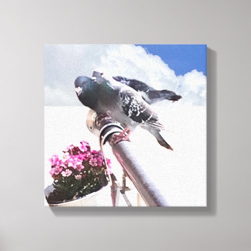 Pigeon and Flowers    Canvas Print