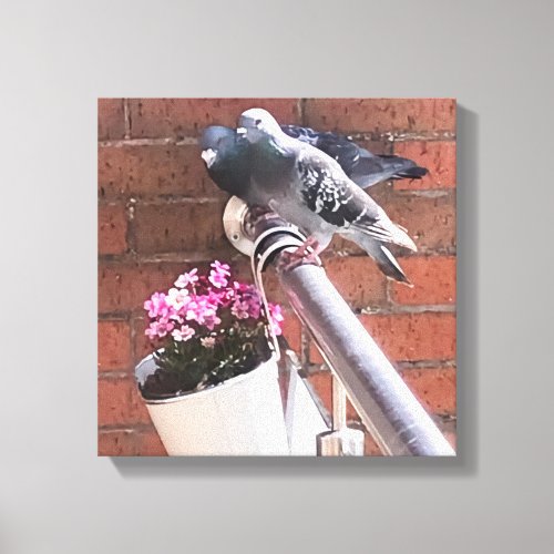 Pigeon and Flowers  Canvas Print