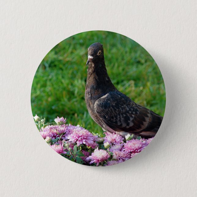 Pigeon and Mums Button (Front)
