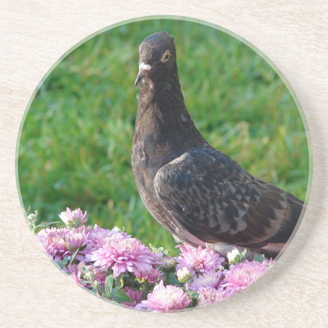 Pigeon and Mums Drink Coaster (Front)